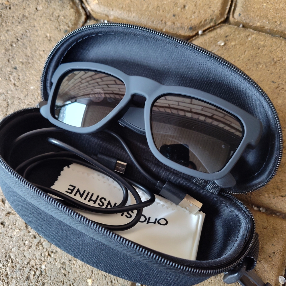 Chic Black Sunglasses with Case